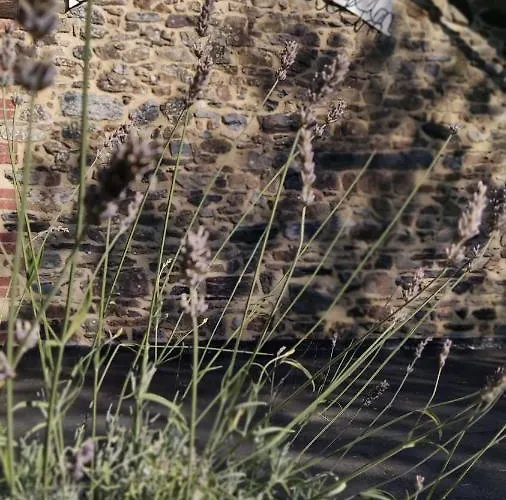 度假居 Du Domaine Du Petit Moulin, A 15 Min De La Mer, D-day, Nature Et Calme, Ideal Famille *